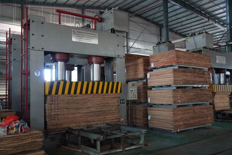 product-800-534 product-800-534